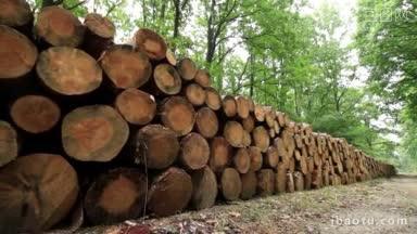 森林道<strong>路上</strong>的一大堆木头